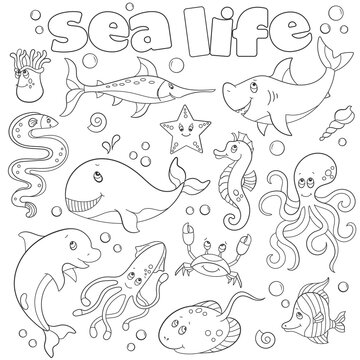A set of contour illustrations with marine life, funny dark outline cartoon animals on a white background , coloring book