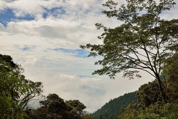 Fototapeta na wymiar Mountain landscape-Mountain View Resort in the Taichung County,Taiwan.