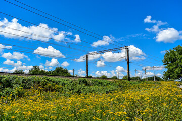 Railroad, flower slope