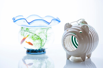蚊取り線香と金魚鉢