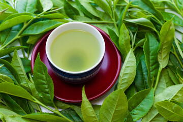 日本茶