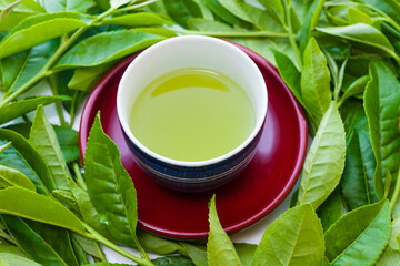 日本茶