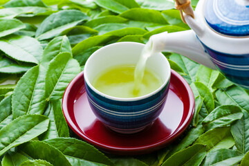 日本茶