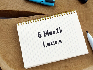 Conceptual photo about 6 Month Loans with written phrase.