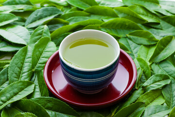 日本茶
