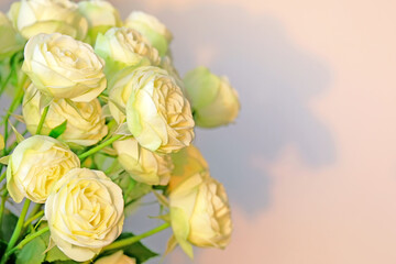 white rose flower bouquet landscape background in natural sunrise light. Floral wallpaper. Fresh garden flowers in calm ambient light.  Floral composition backdrop in natural pastel color