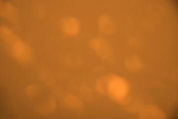  Blurred image of abstract shadow of tree on yellow wall background