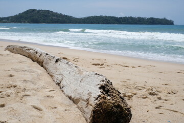 A huge log on a sandy beach with a blur of the sea.