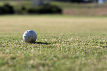 Golf Ball on Green