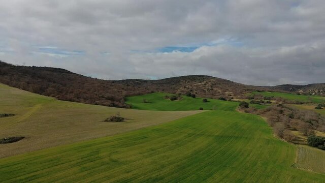 Campos de cereal entre monte de Encina y Quejigo Espa&ntilde;a.