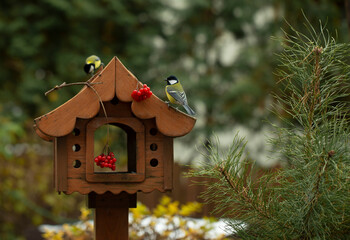 bird feeder in autumn, autumn garden birds peck food from bird feeder