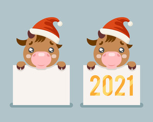 2021 year cute cartoon baby cow ox cub blank paper sheet flat design vector illustration