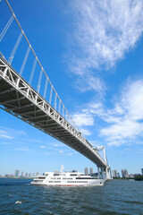 Fototapeta premium レインボーブリッジ