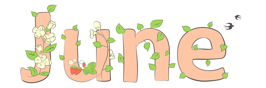June word. June concept text with leaves, branches, berries, flowers, snowdrops. Vector illustration of June hand lettering text for poster, card, banner, template design. Summer month.