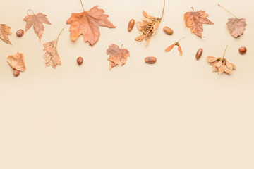 Obraz na płótnie Canvas Beautiful autumn composition on light background