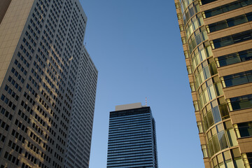 Fototapeta na wymiar 夕暮れ時の新宿の高層ビル
