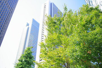 高層ビルと街路樹