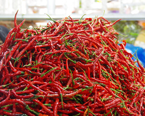 Fototapeta premium Various types of vegetables that grow in Indonesia