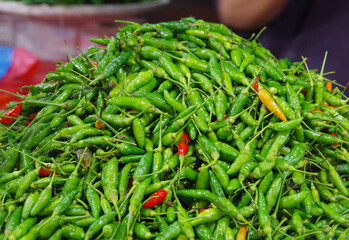 Various types of vegetables that grow in Indonesia