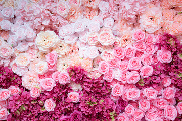 Backdrop of red and pink roses,Flowers wall background,Wedding decoration - 389543575