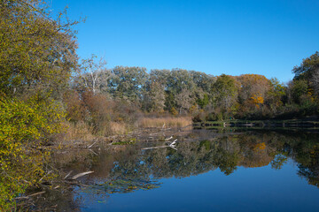 small pond at a natural parkland in Vienna Austria