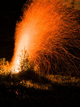 Long exposure photo of fire burning behind plants. Fire sparkles bursting and flying in the air.