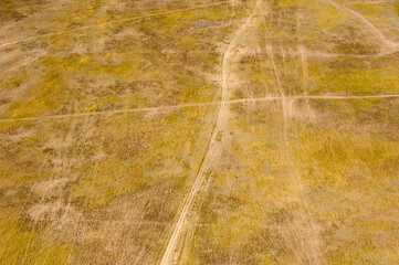 Fields and meadows. Aerial view. Landscape.