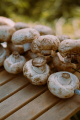 Mushrooms on the barbecue. Delicious photo of a summer vacation in nature