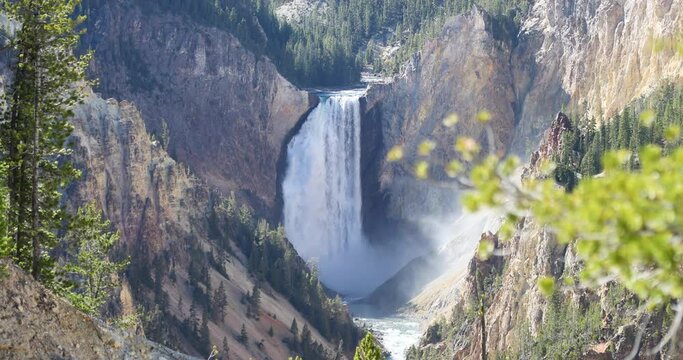 Yellowstone Lower Falls grand canyon beautiful 4K. Geyser Yellowstone in Wyoming, Montana and Idaho, USA. Geothermal geological environment ecosystem landscape. Biology geography and ecology.
