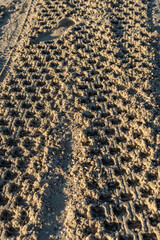 tracks in sand, car tire marks in the sand