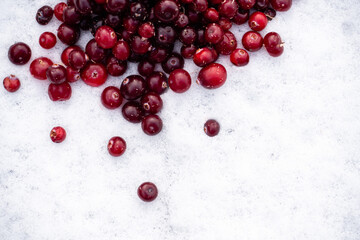  Frozen cranberries on the snow. Close up.
