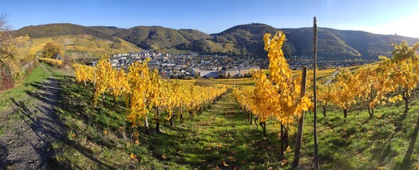 Aus dem Weinberg nach Bernkastel-Kues