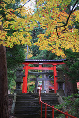 中野もみじ山の紅葉（青森県・黒石市）