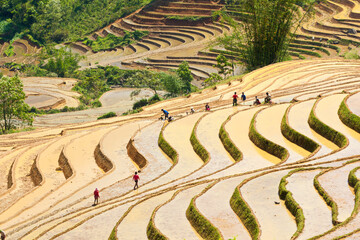 Obraz na płótnie Canvas Y TY, LAO CAI, VIETNAM - MAY 9 2020: Ethnic farmers working on the terraced fields.