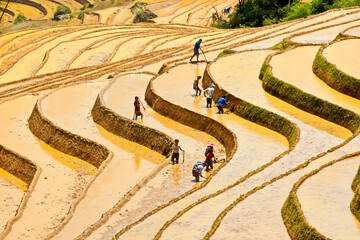 Y TY, LAO CAI, VIETNAM - MAY 9 2020: Ethnic farmers working on the terraced fields.