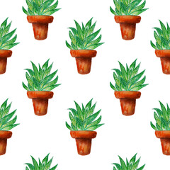 Brown clay pot with green plant seamless pattern isolated on white