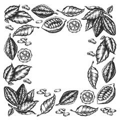 Cocoa beans illustration. Engraved style illustration. Chocolate cocoa beans. Vector pattern illustration