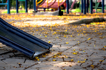 The flowers fell on the ground in playground.