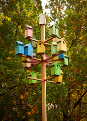 birdhouses hang on a tree in the park