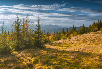 Carpathian mountain valley in a bright autumn colors