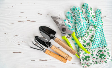 Gardening tools for indoor home planting. Mini trowel, fork, pruner for repotting plants on white...