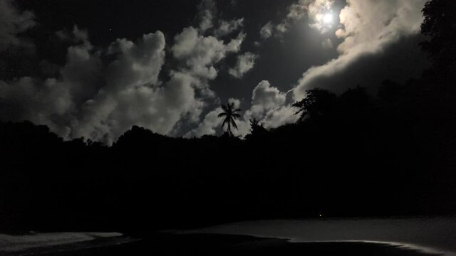 moon and clouds on a tropical beach with a palm tree silhouette Martinique anse levrier