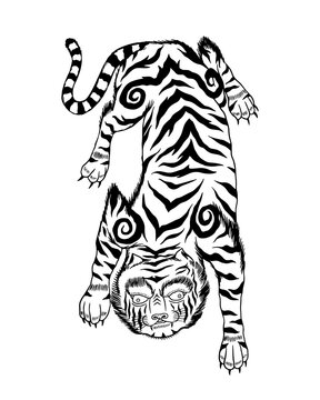 Asian Japanese tiger. Wild animal for tattoo or sticker or emblem. Hand drawn engraved sketch. Monochrome doodle style. Vector illustration.