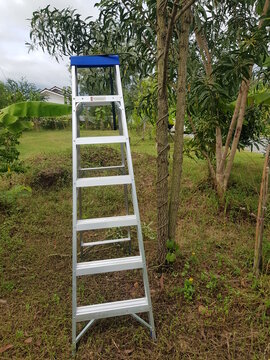 The Decoration Of Tall Tree Branches Requires A Sturdy Staircase Danger Do Not Stand On Or Above This Rung You Can Lose Your Balance