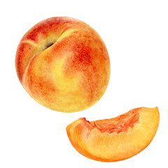 Peach fruit whole and slice watercolor illustration isolated on white background