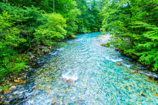 梓川の支流の自然