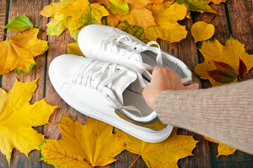 hand puts modern white sneakers and on wooden background with autumn leaves, autumn mood concept,...