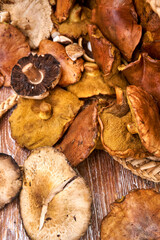 Basket full with big mushrooms on wooden table outdoor