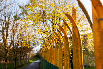 Metal anti climbing fence with spikes on top. Secure perimeter of property. Selective focus. Trees with yellow autumn leafs.