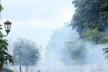 smoke covered trees